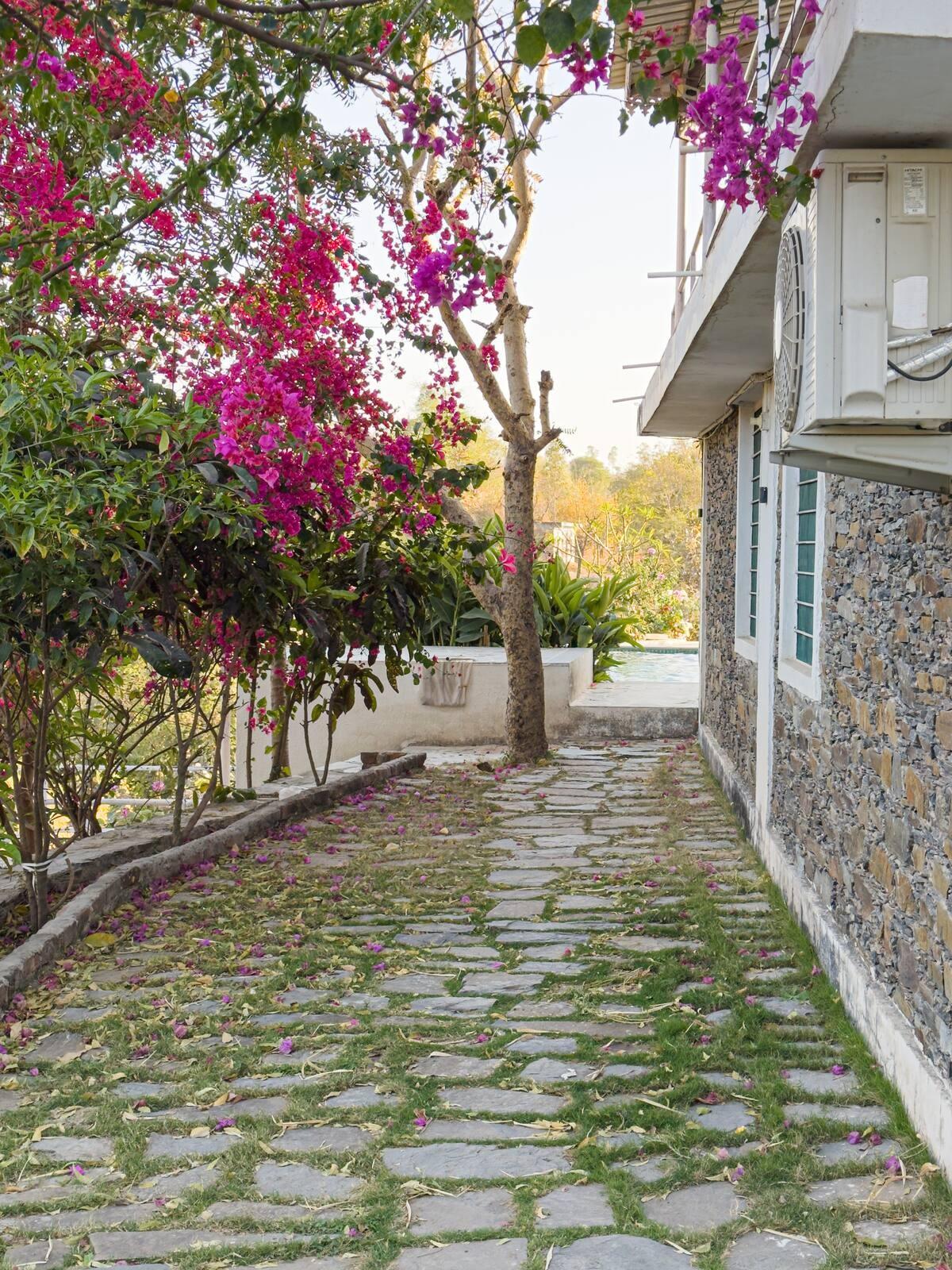 3 Bedroom Villa With Pool in Udaipur x Solis Nature