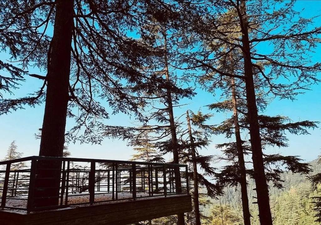 Fairmount Valley Vista x Solis Nature