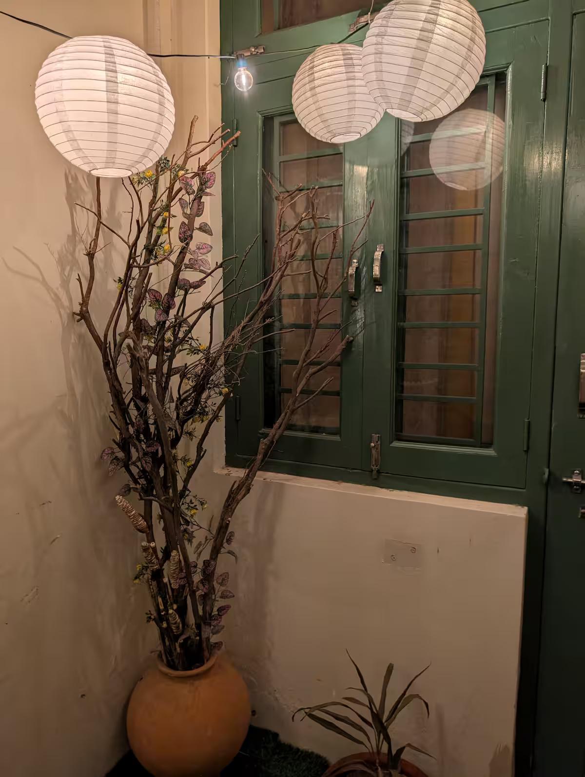 Hey gram x Solis Nature