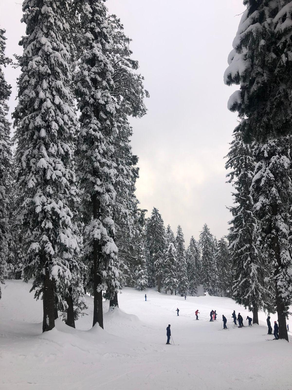 pahadi house x Solis Nature