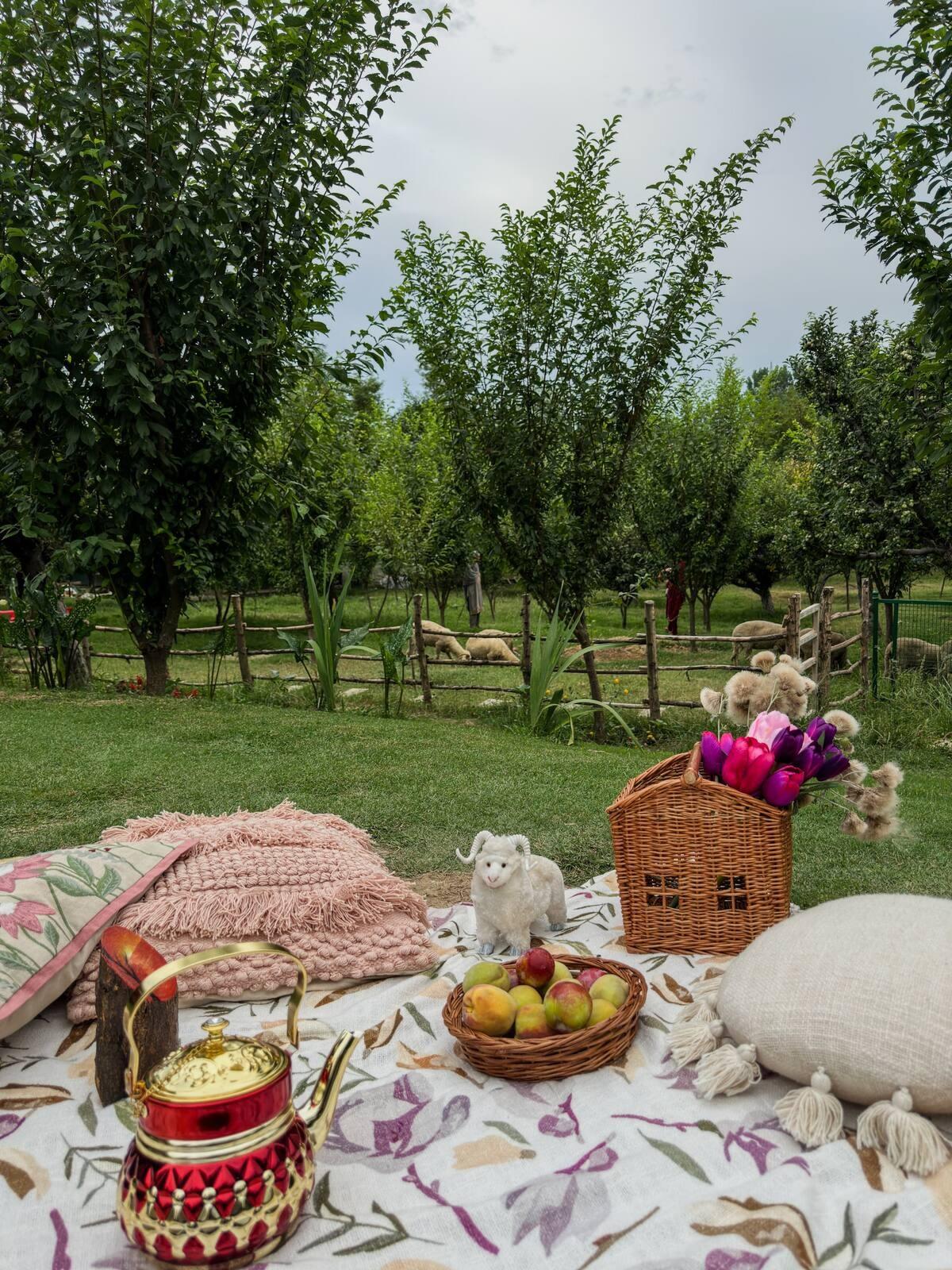 Villa Cottage In Srinagar x Solis Nature