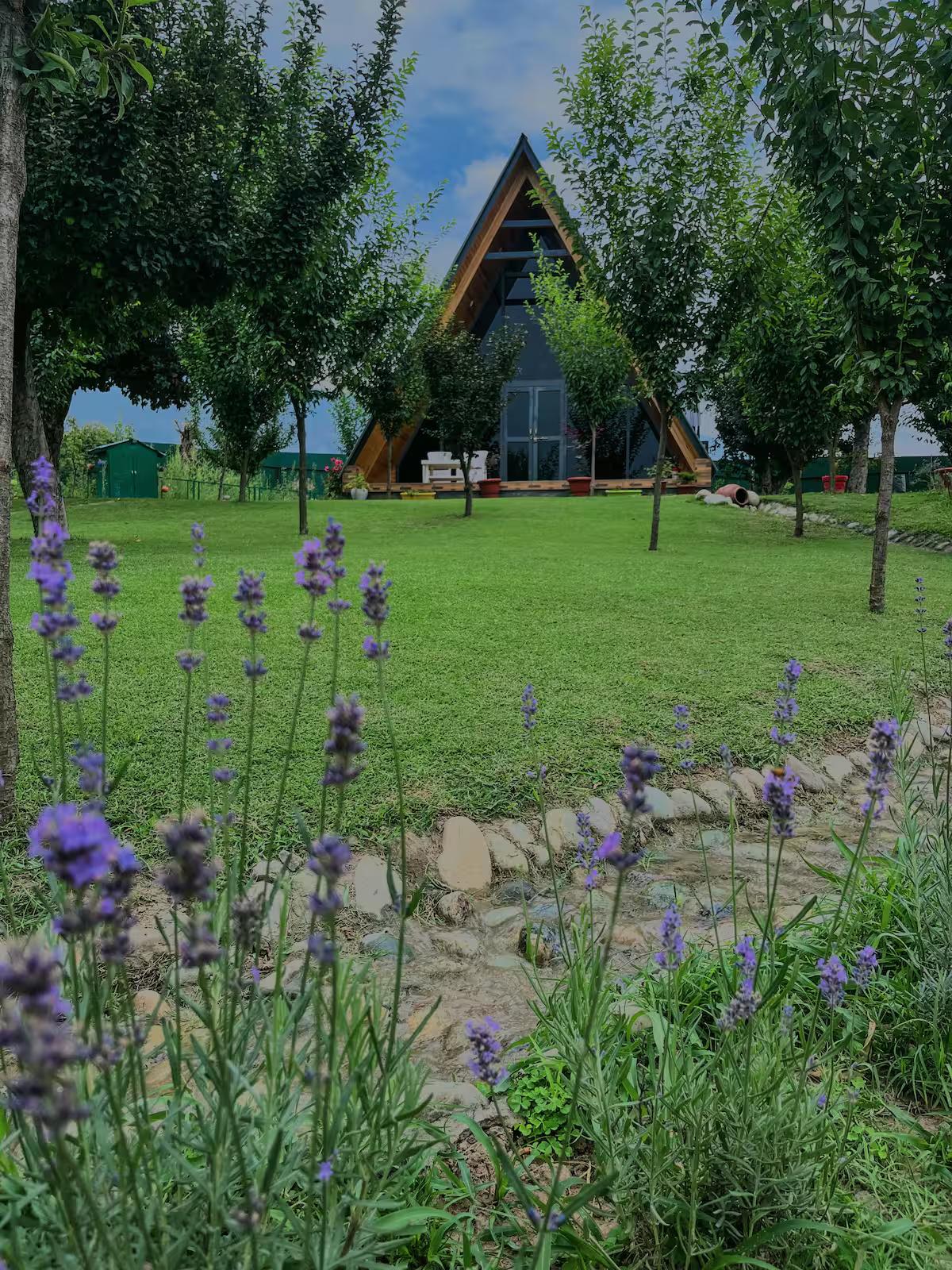 Villa Cottage In Srinagar x Solis Nature