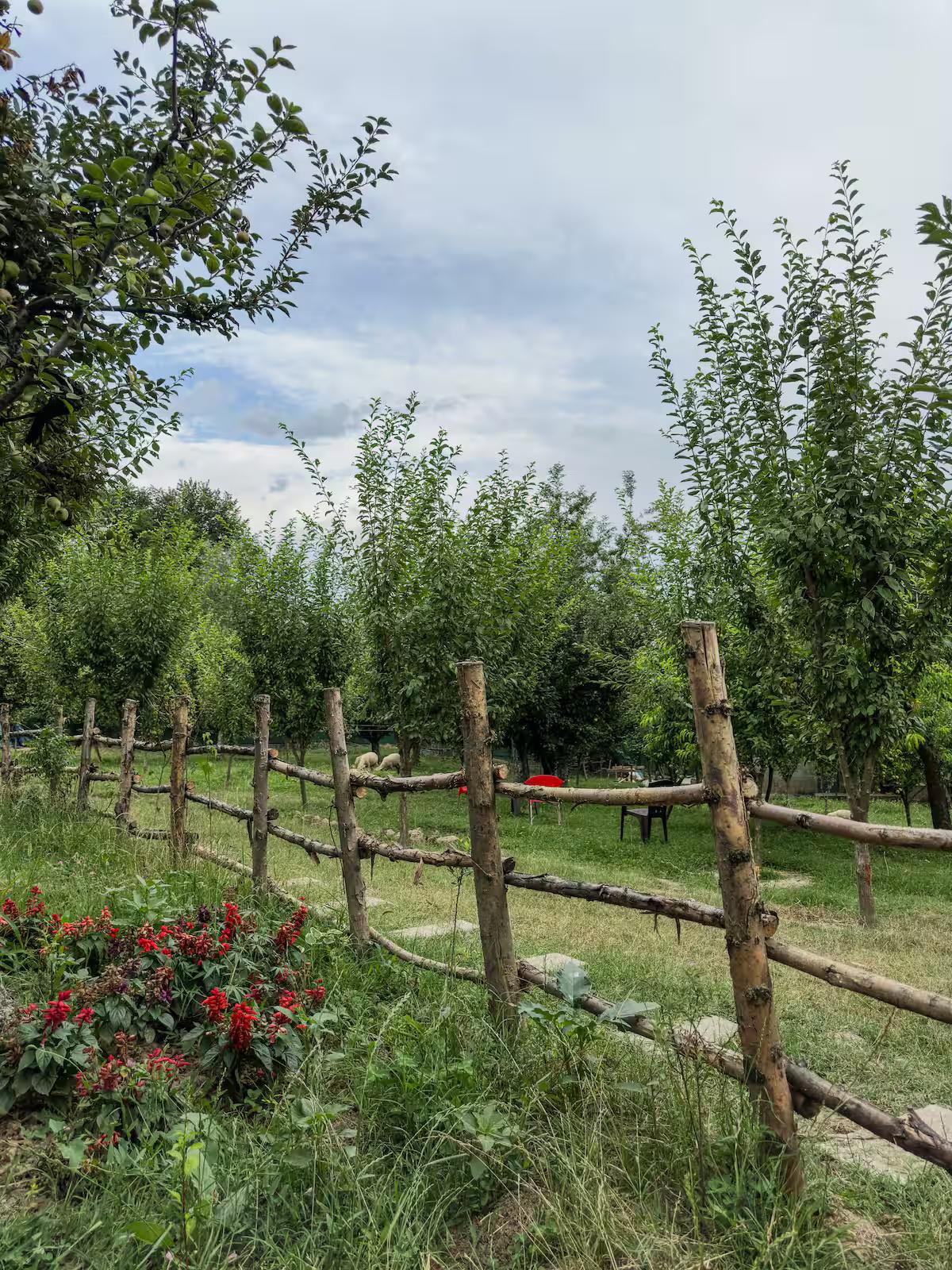 Cottage In Srinagar x Solis Nature