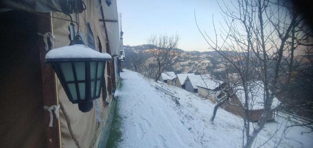 Apple Retreat Resort x Solis Nature