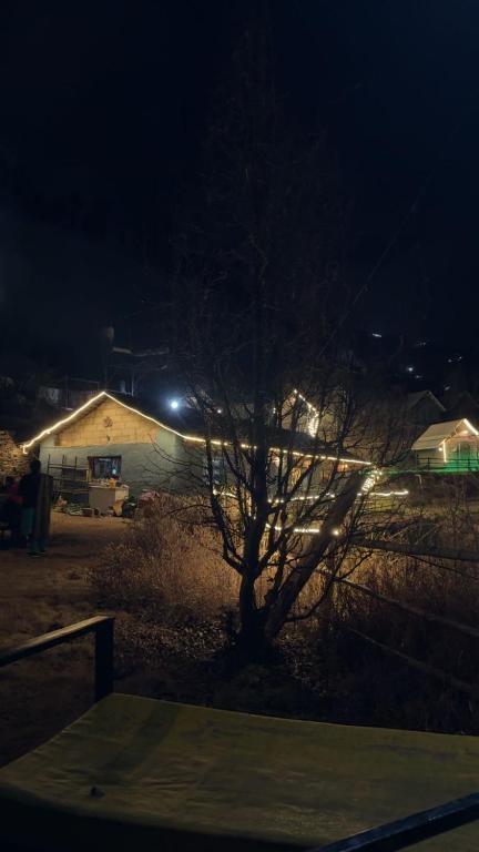 Apple Retreat Resort x Solis Nature