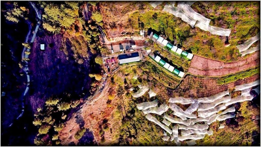 Apple Retreat Resort x Solis Nature