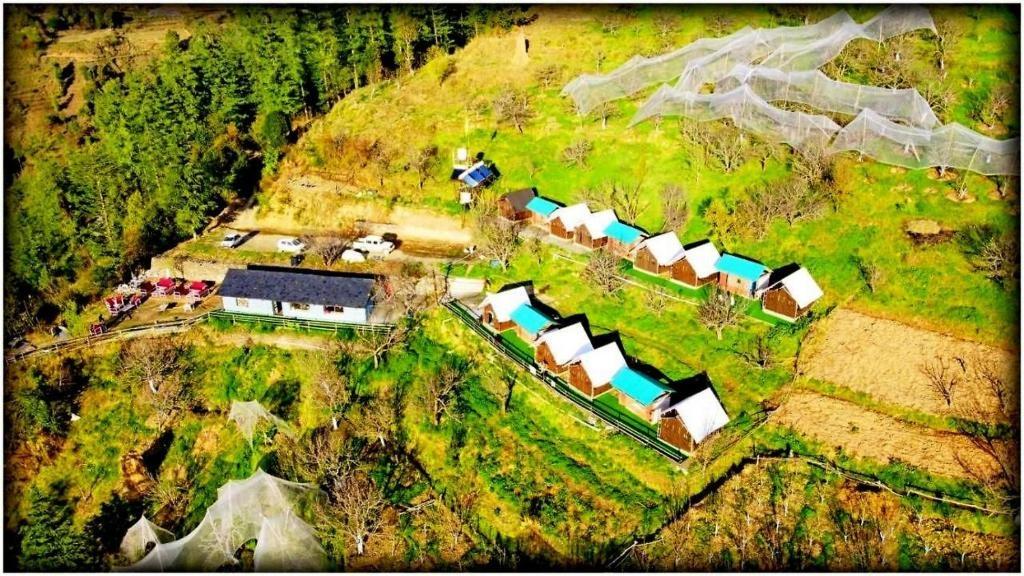 Apple Retreat Resort x Solis Nature