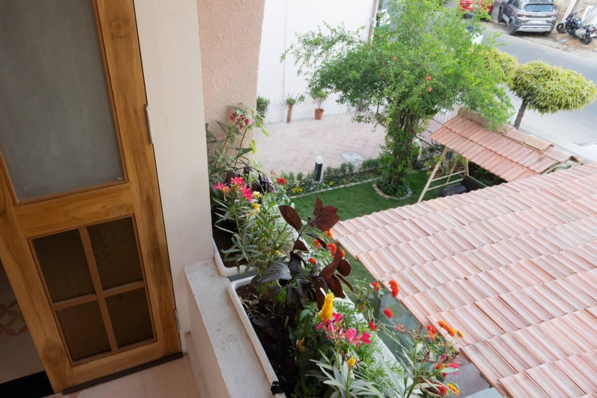 Rajan House x Solis Nature