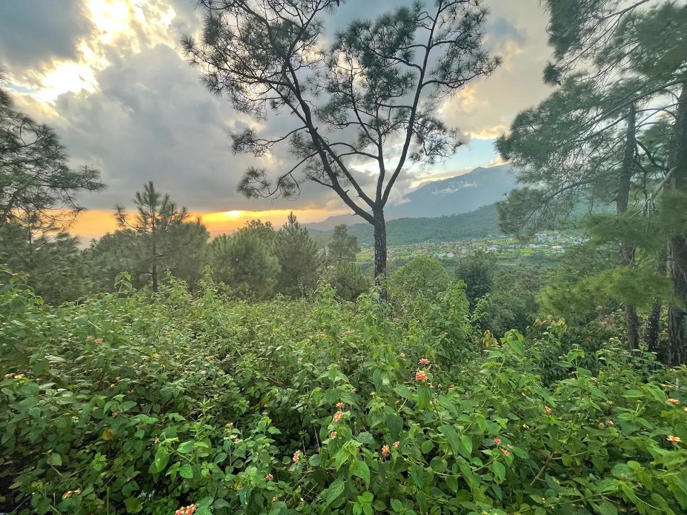 Astitva Resort & Camps x Solis Nature