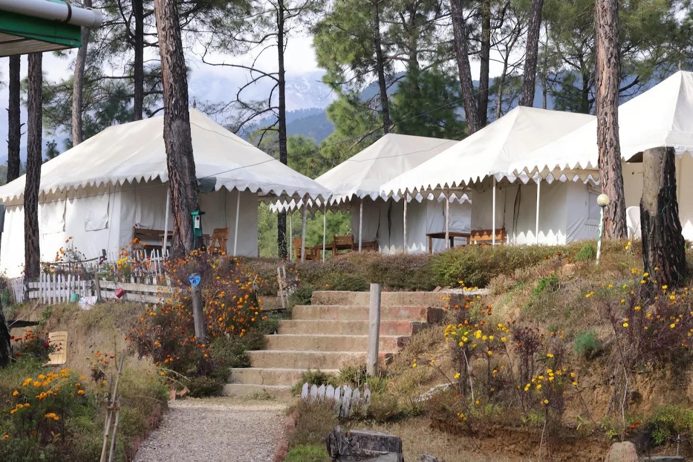 Astitva Resort & Camps x Solis Nature