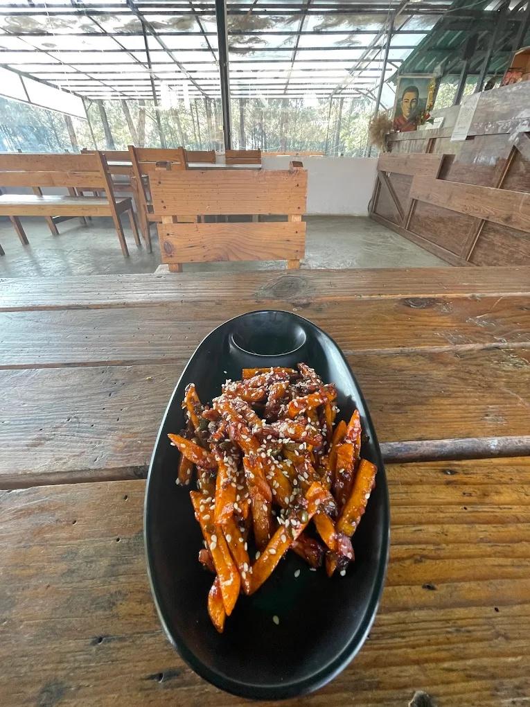 Astitva Resort & Camps x Solis Nature