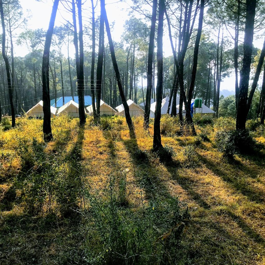 cabins in keori by astitva x Solis Nature