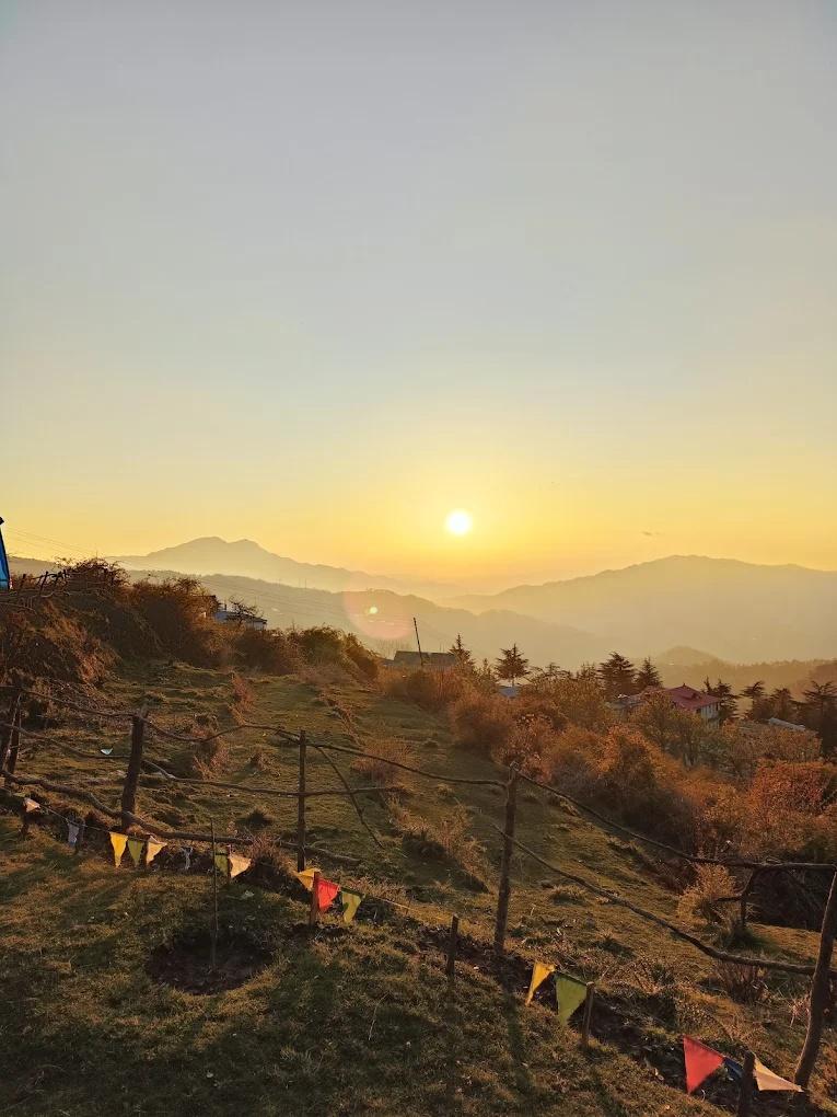 Nest in peace camps x Solis Nature