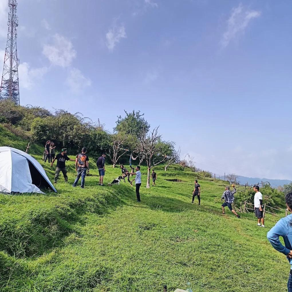 Nest in peace camps x Solis Nature