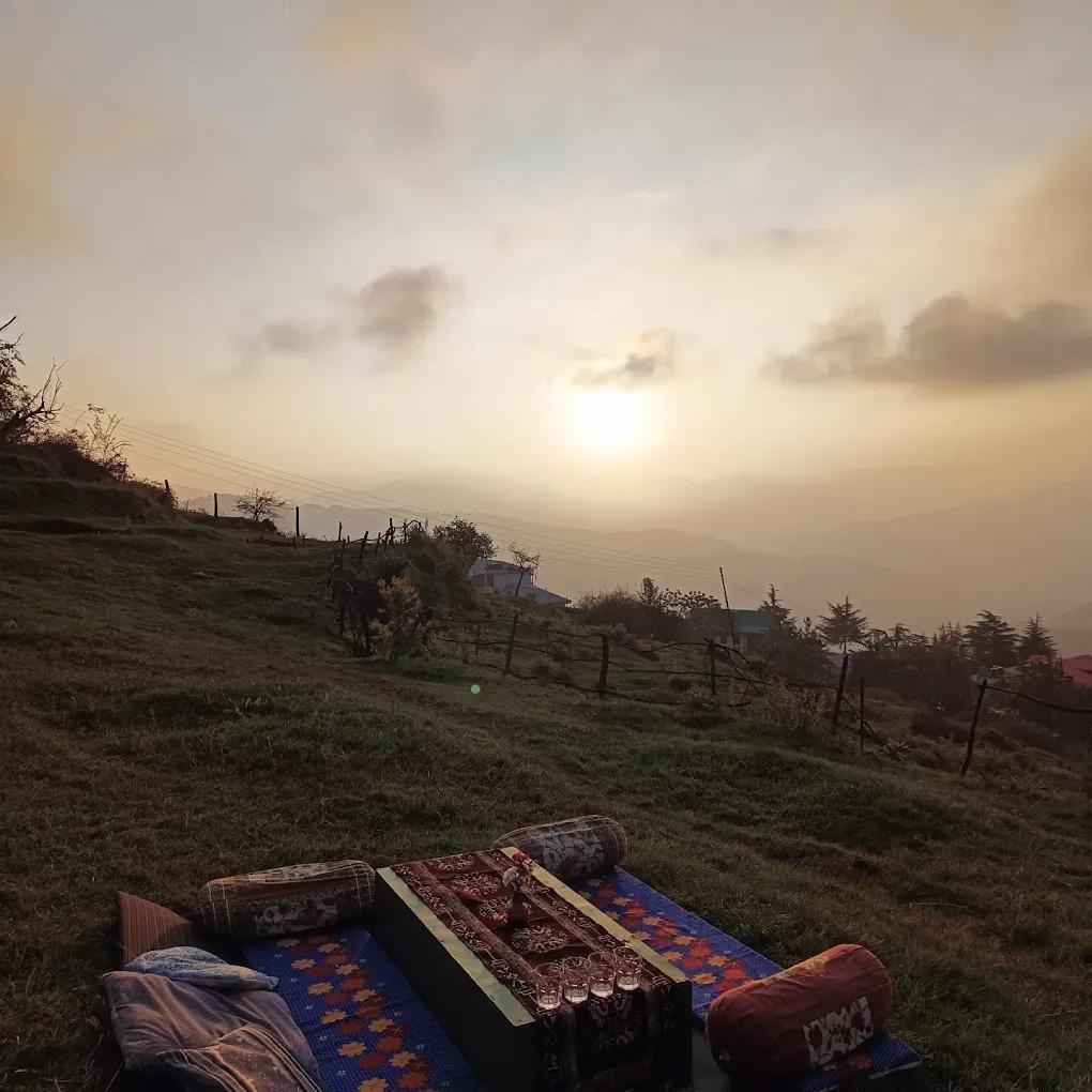 Nest in peace camps x Solis Nature