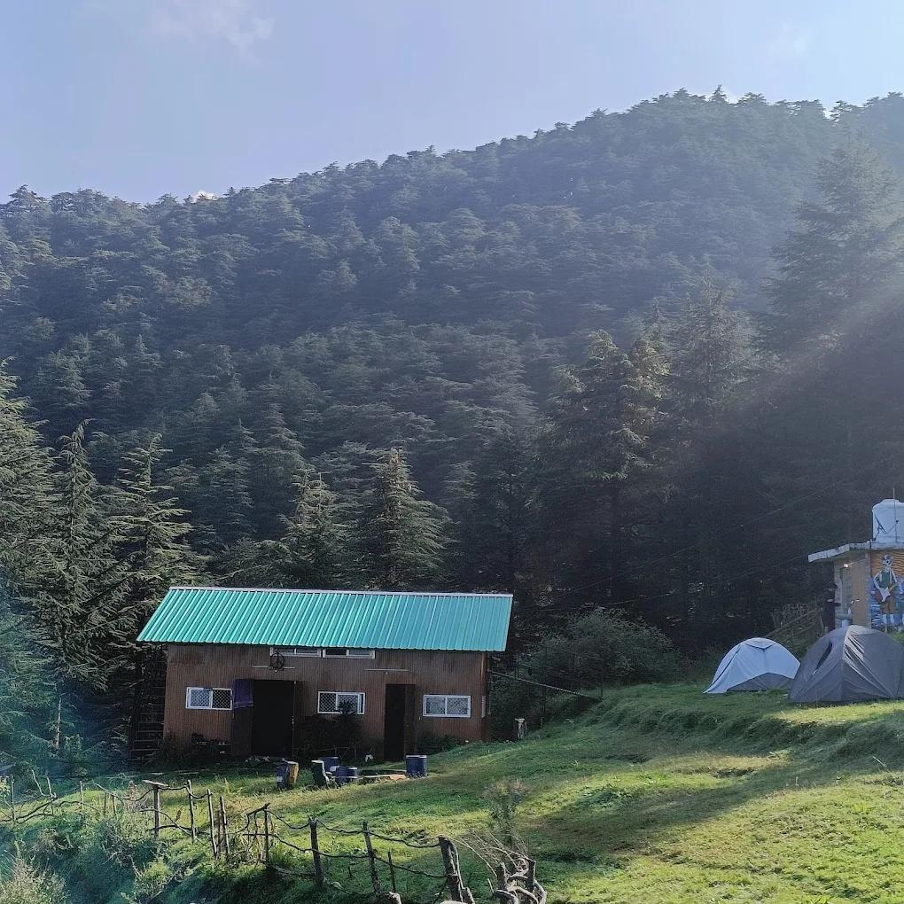 Nest in peace camps x Solis Nature