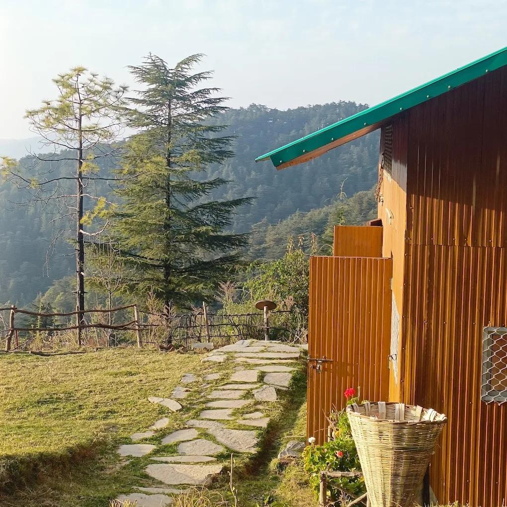 Nest in peace camps x Solis Nature