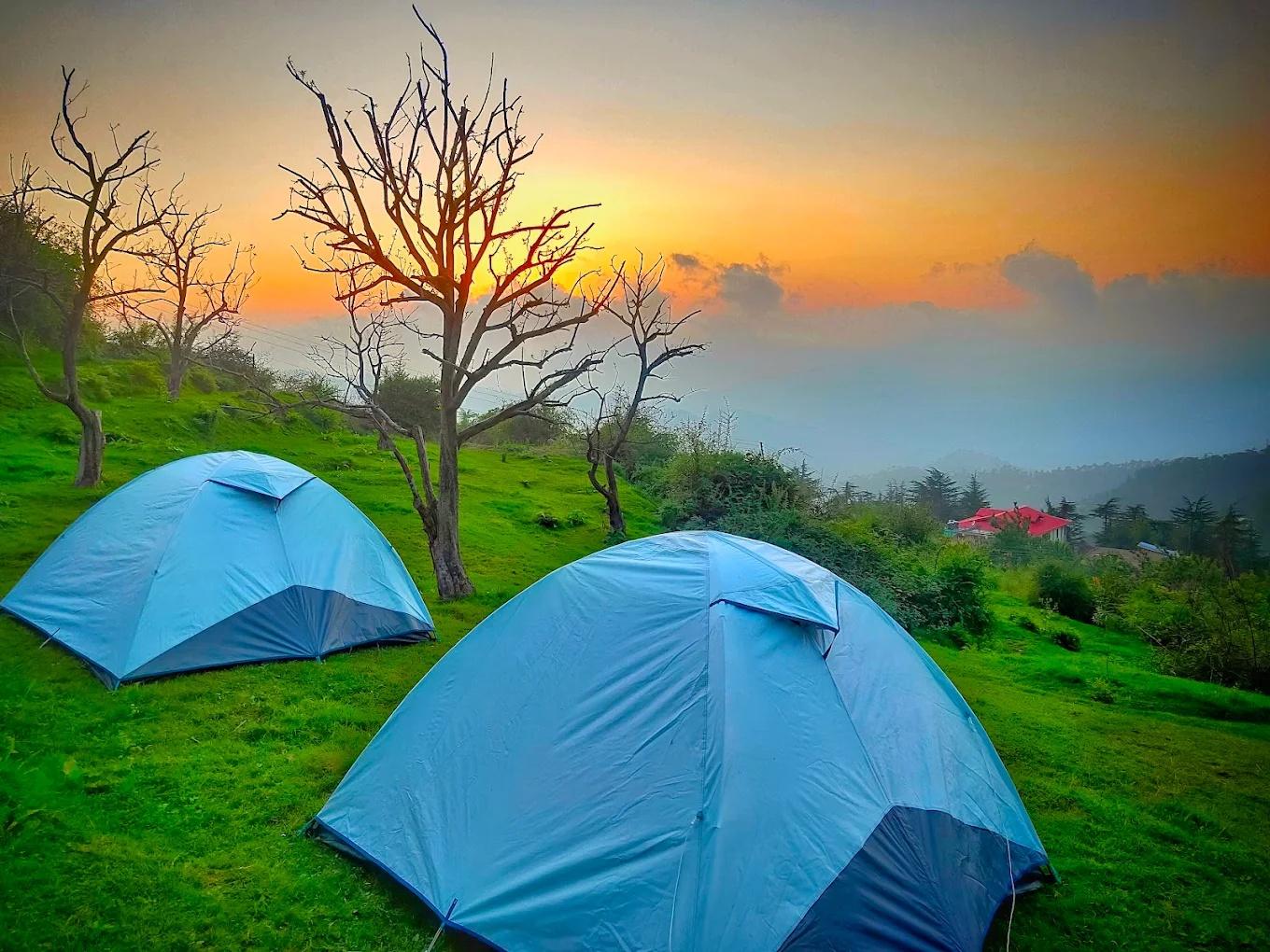 Nest in peace camps x Solis Nature