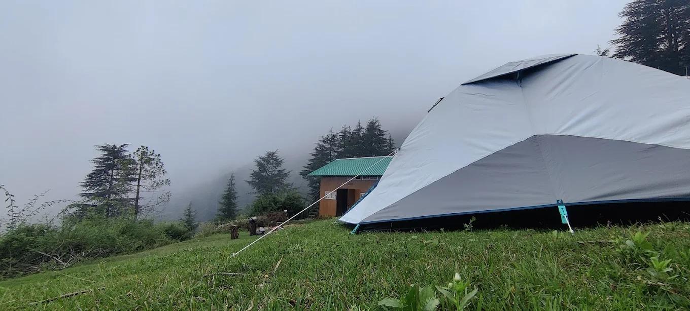 Nest in peace camps x Solis Nature