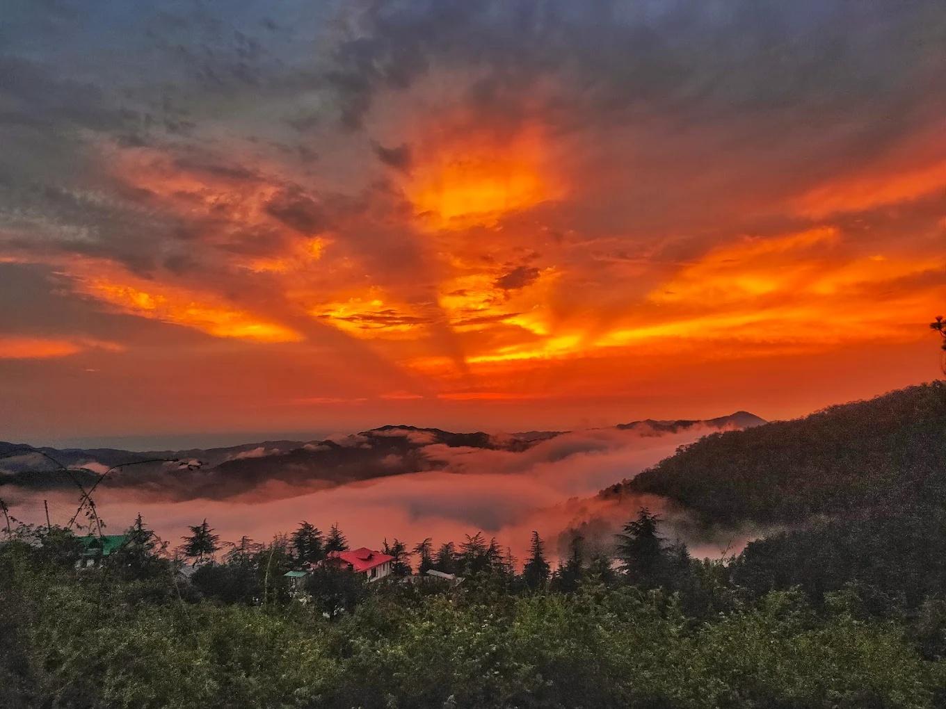 Nest in peace camps x Solis Nature