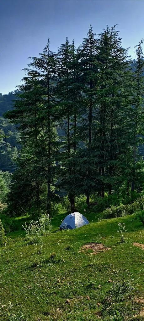 Nest in peace camps x Solis Nature