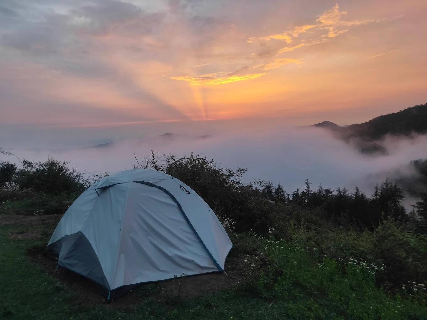 Nest in peace camps x Solis Nature