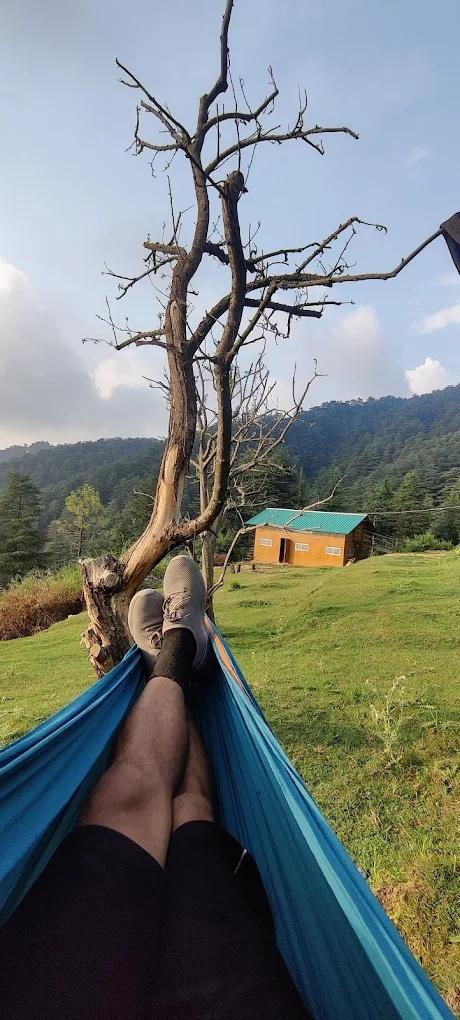 Nest in peace camps x Solis Nature