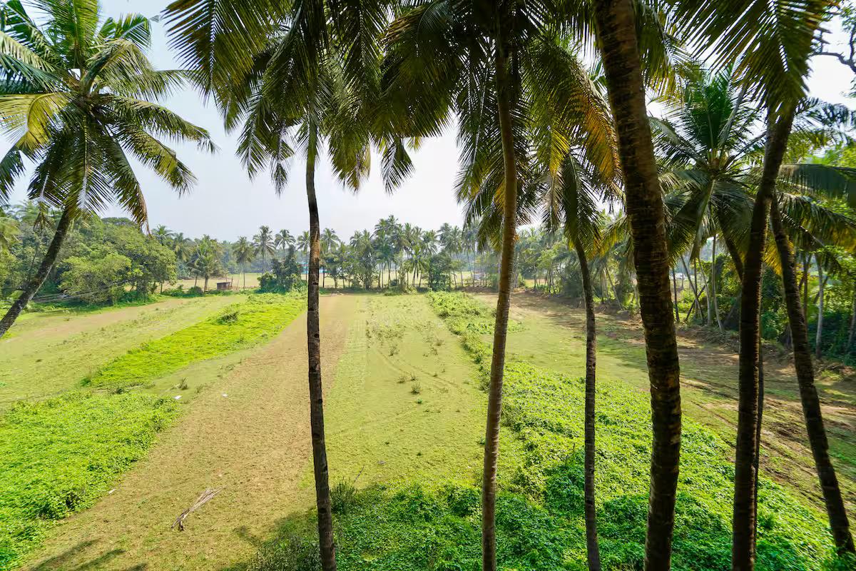 4BHK villa w/ in Morjim x Solis Nature