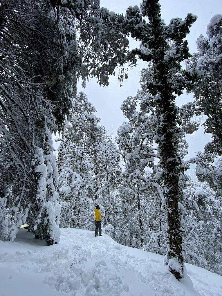 Moksham Himalayan campsite x Solis Nature