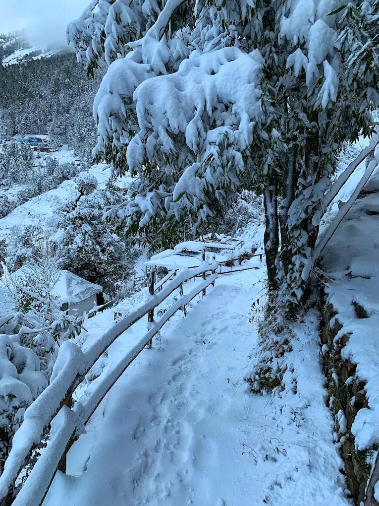 Moksham Himalayan campsite x Solis Nature