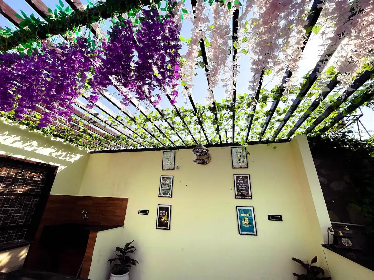 Ibiza farm By The Party Citadel x Solis Nature