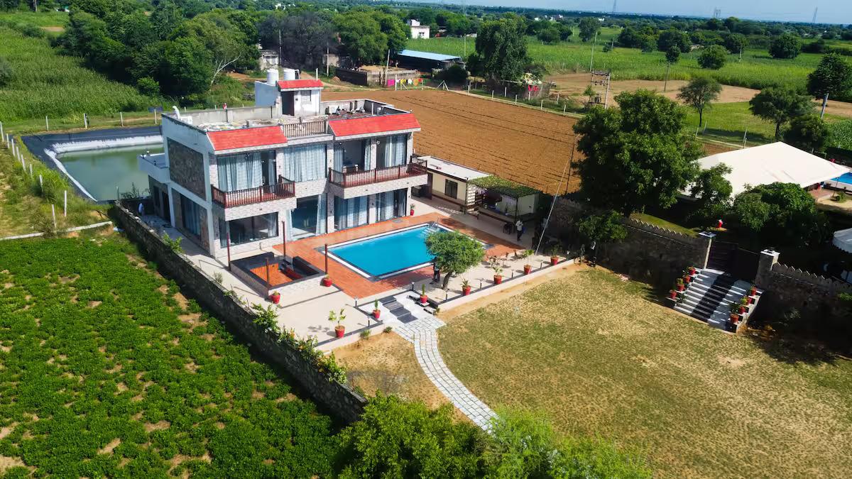 Ibiza farm By The Party Citadel x Solis Nature