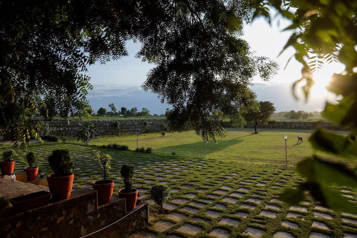 The Rustic Villa x Solis Nature