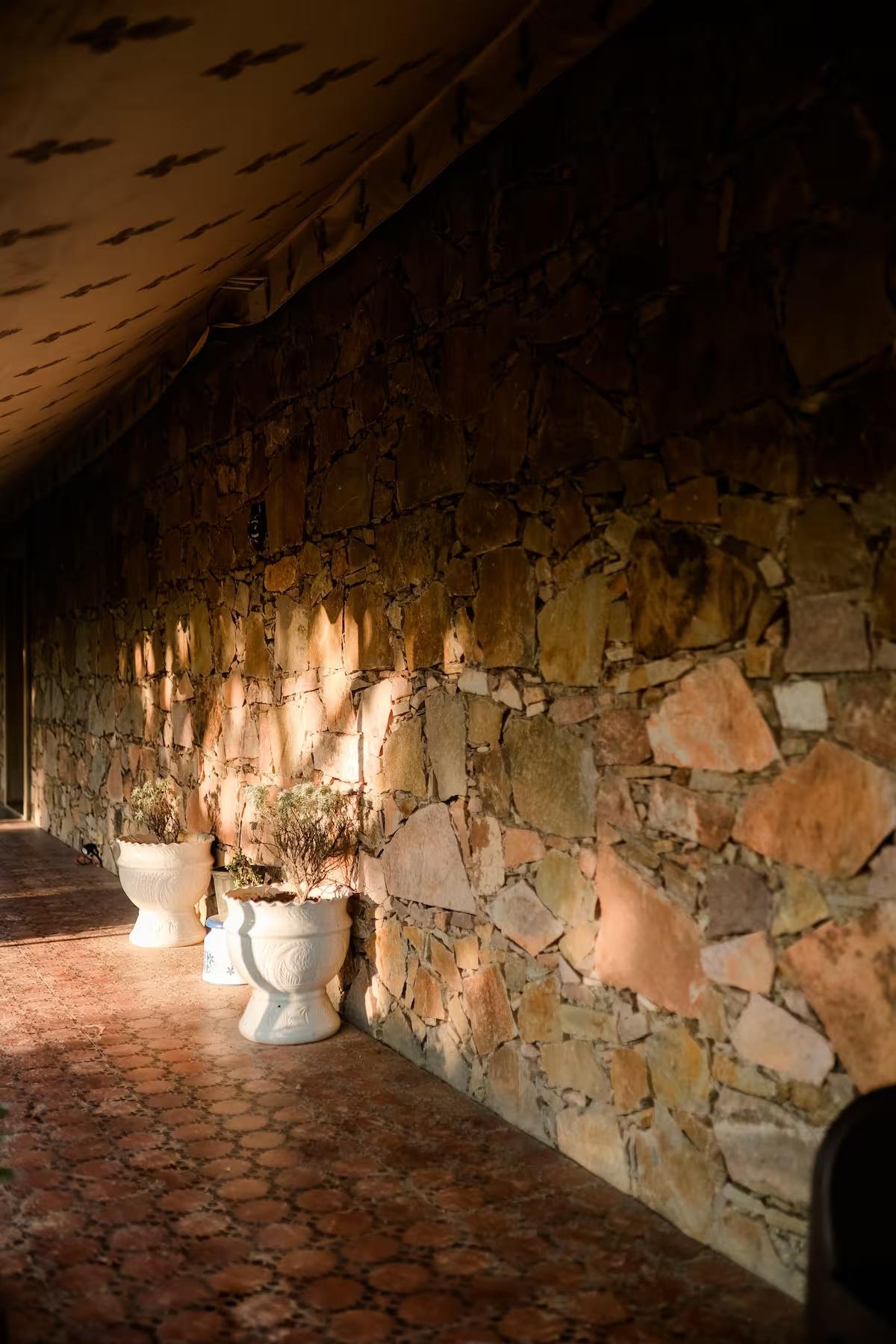 The Rustic Villa x Solis Nature