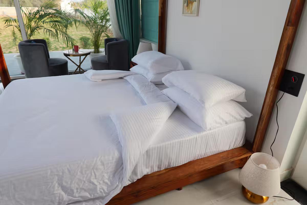 Edo Mansion x Solis Nature