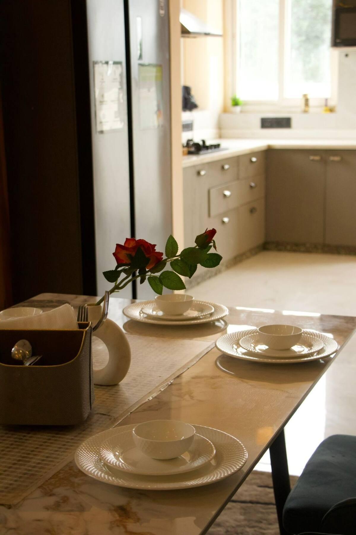 Edo Mansion x Solis Nature