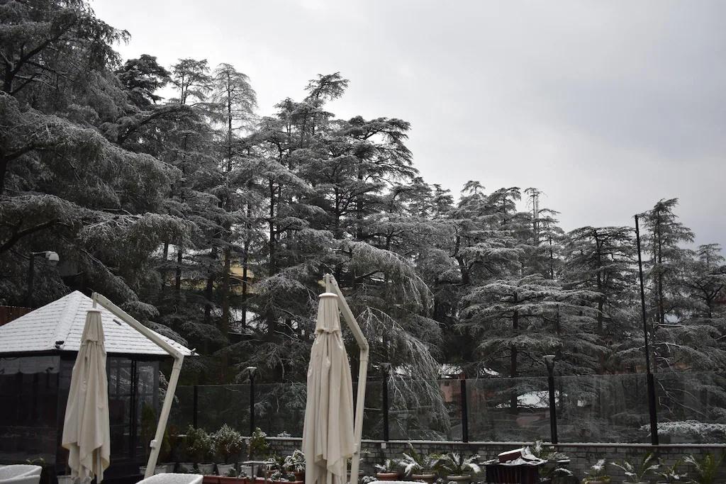 Hotel Marina Shimla x Solis Nature