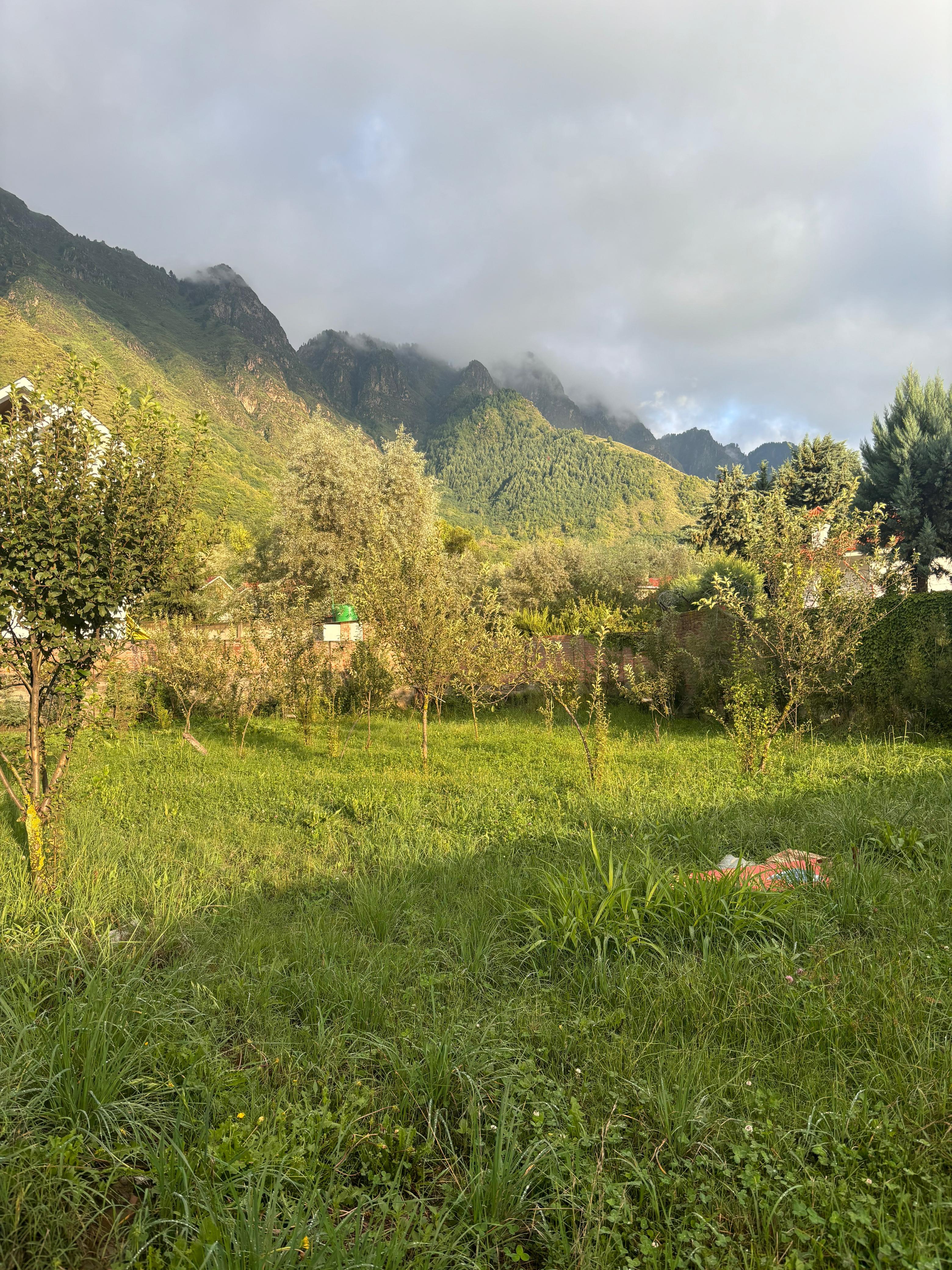 Shalimar Heights x Solis Nature