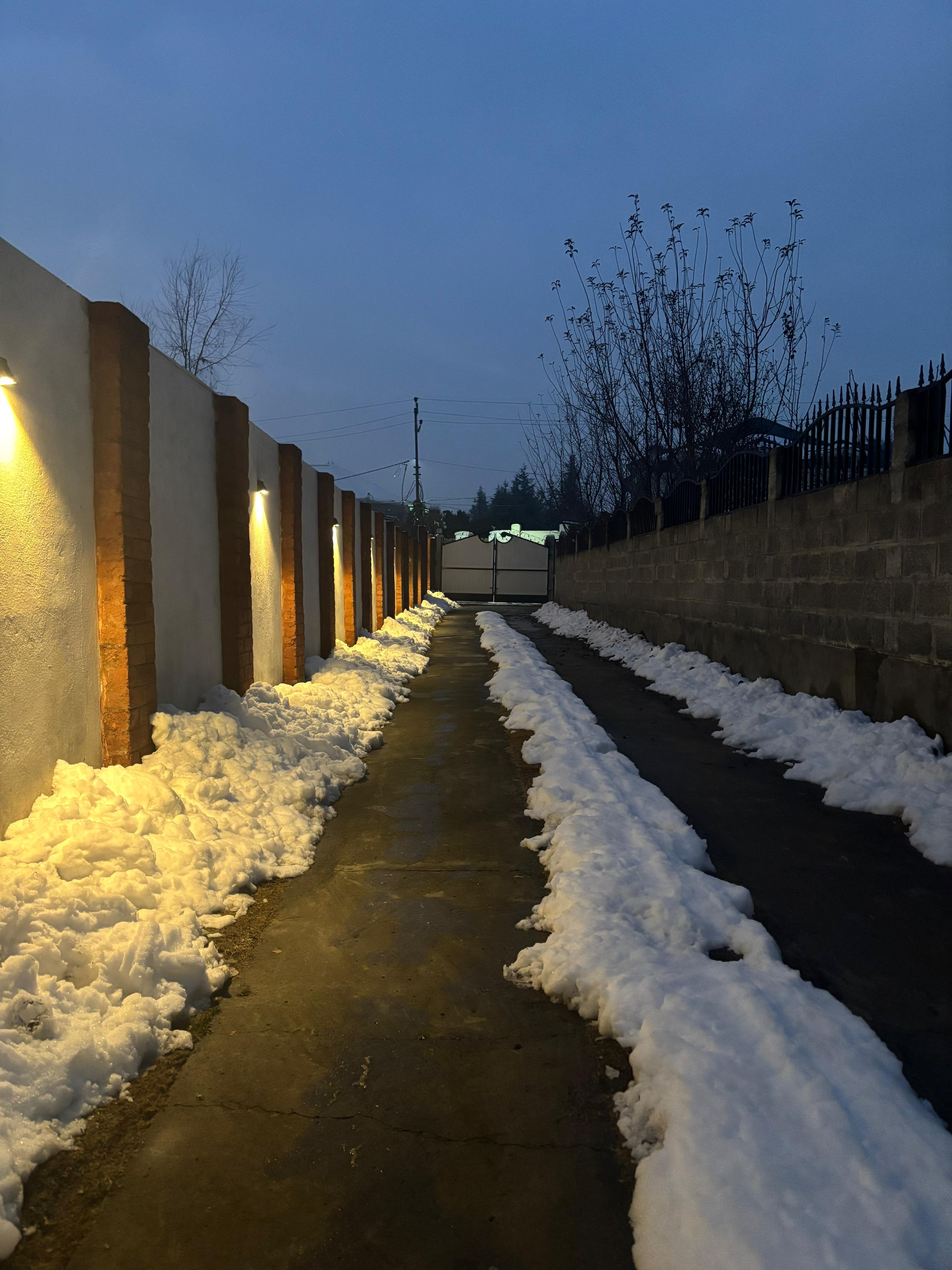 Shalimar Heights x Solis Nature