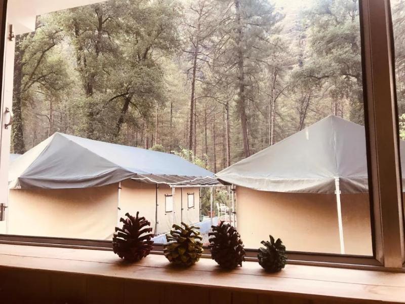North Deodar Camps, Kasol x Solis Nature