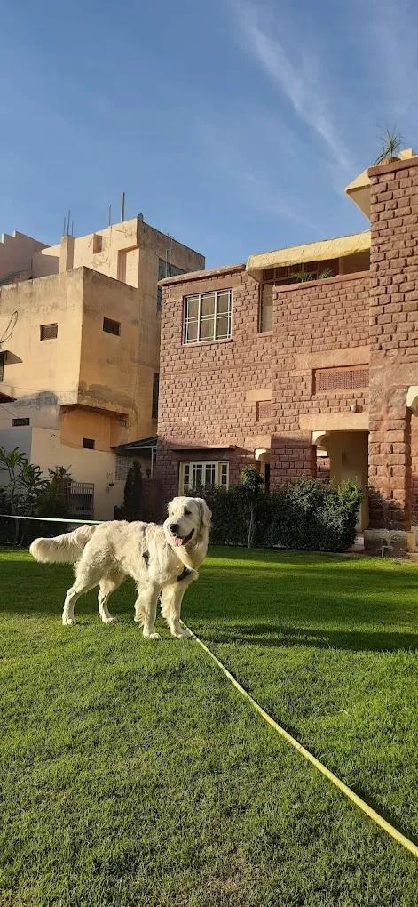 A Heritage Homestay x Solis Nature