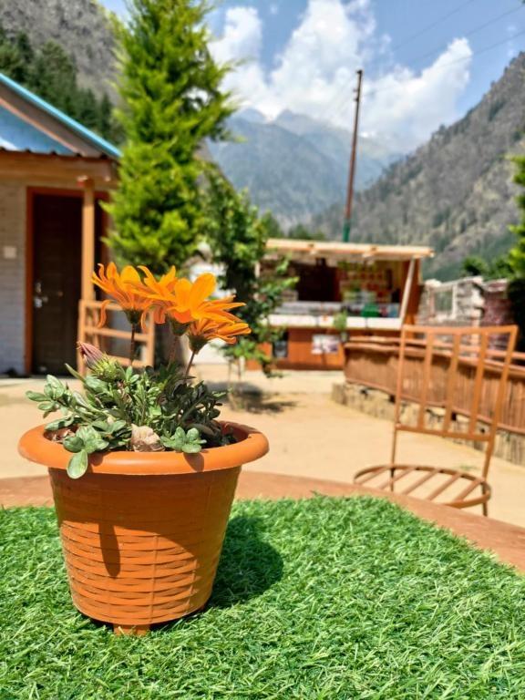 Lee Garden Himalayan Wooden Cottages x Solis Nature