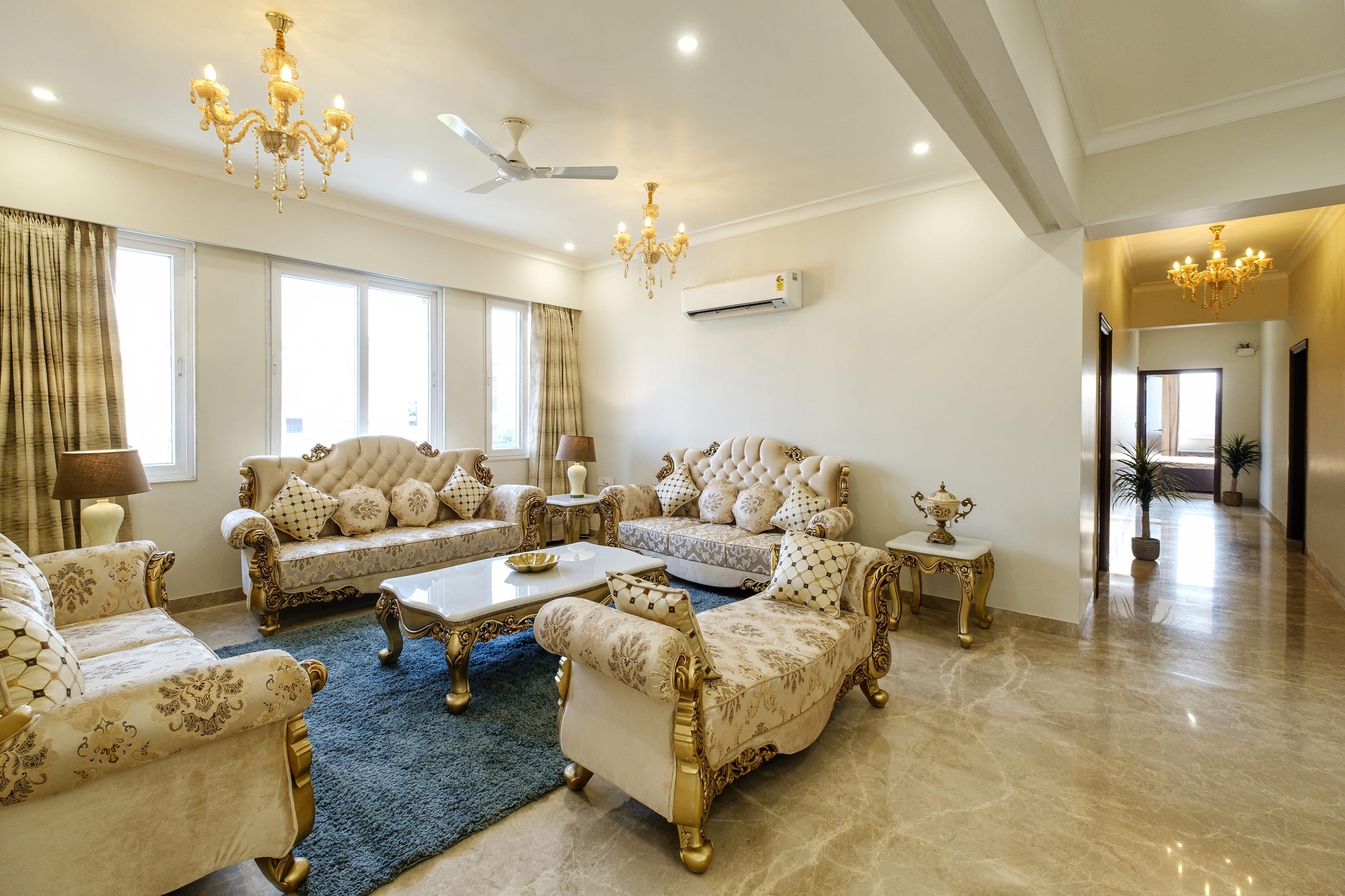 Palm 34 Jaipur x Solis Nature