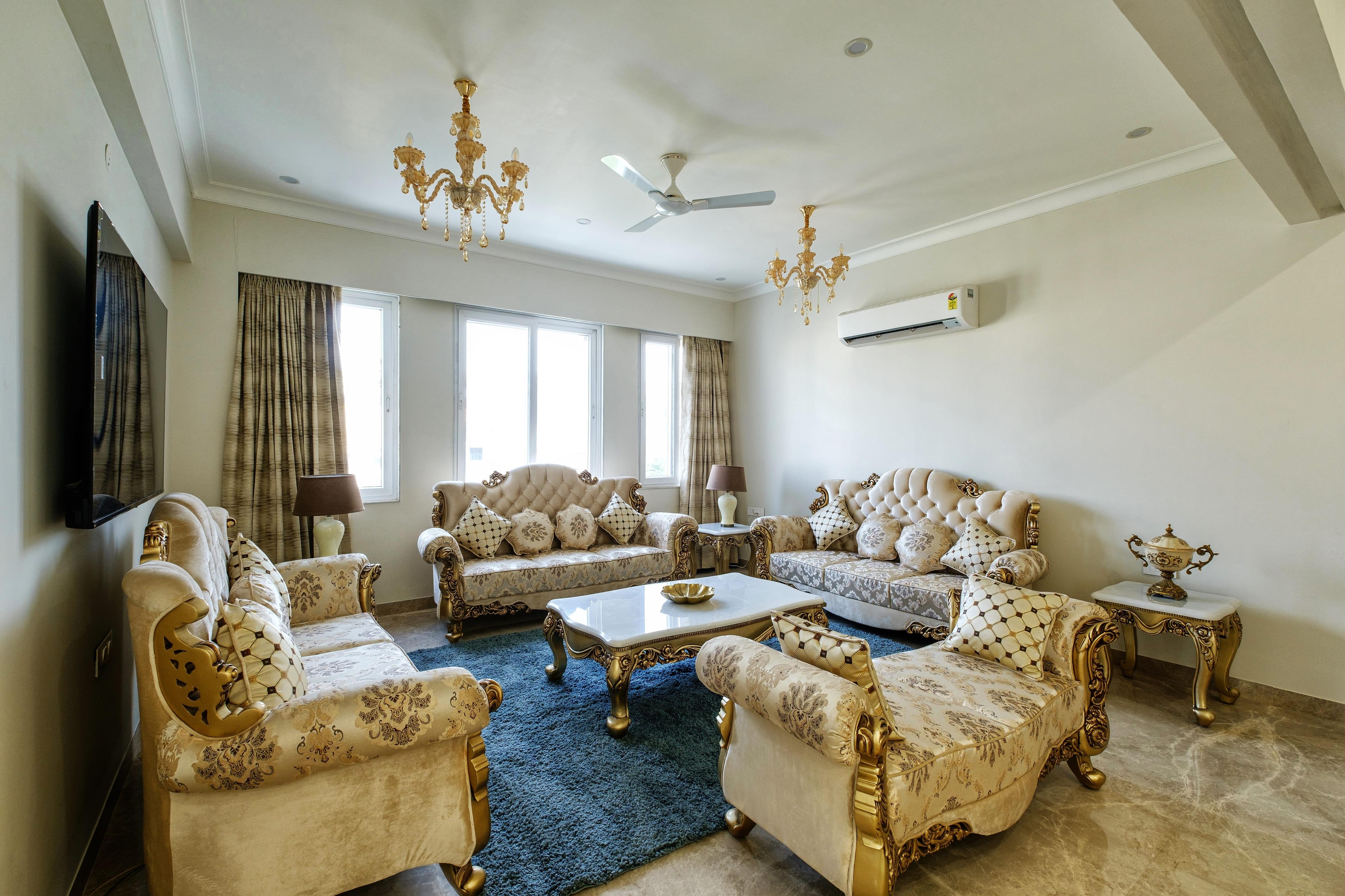 Palm 34 Jaipur x Solis Nature