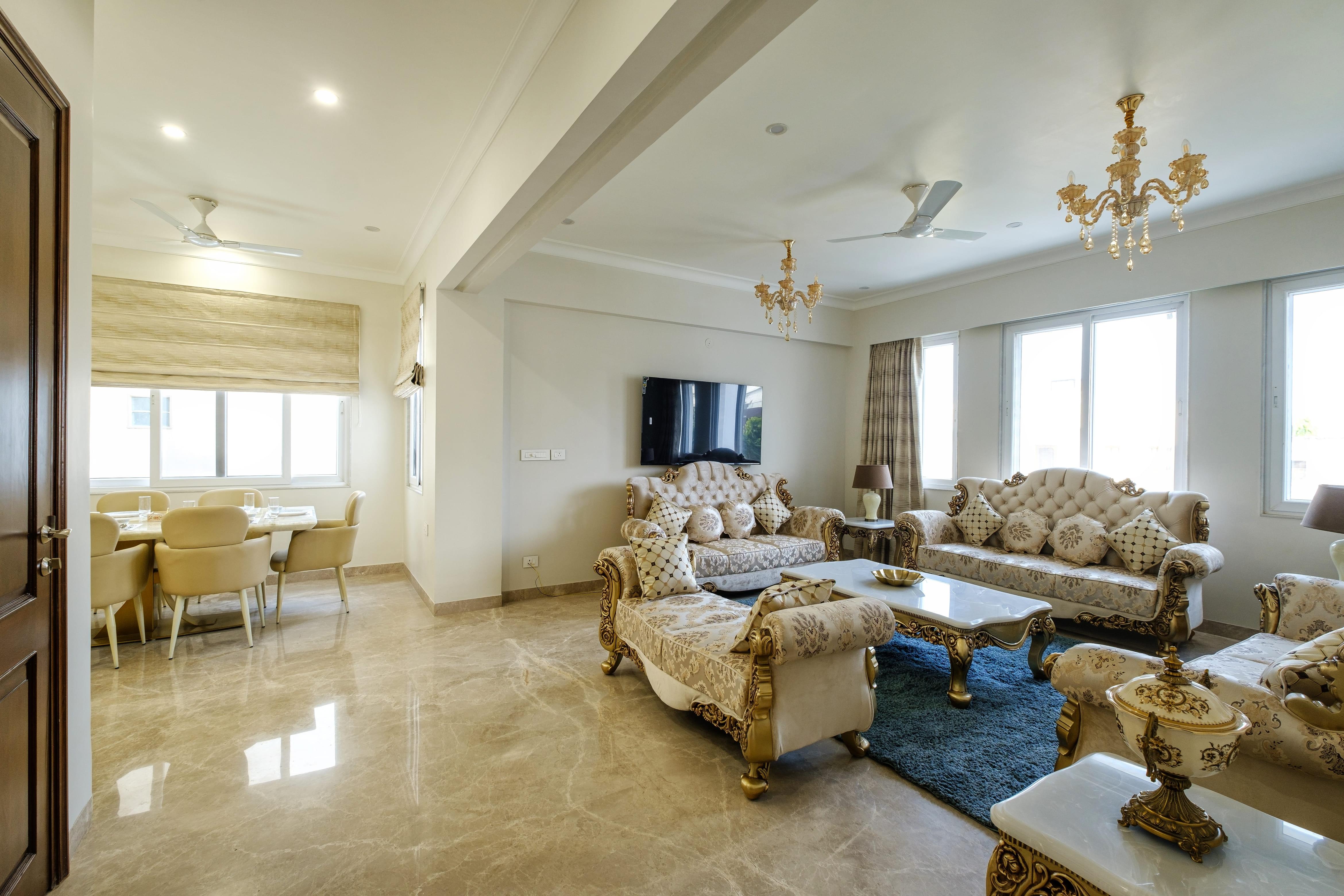 Palm 34 Jaipur x Solis Nature