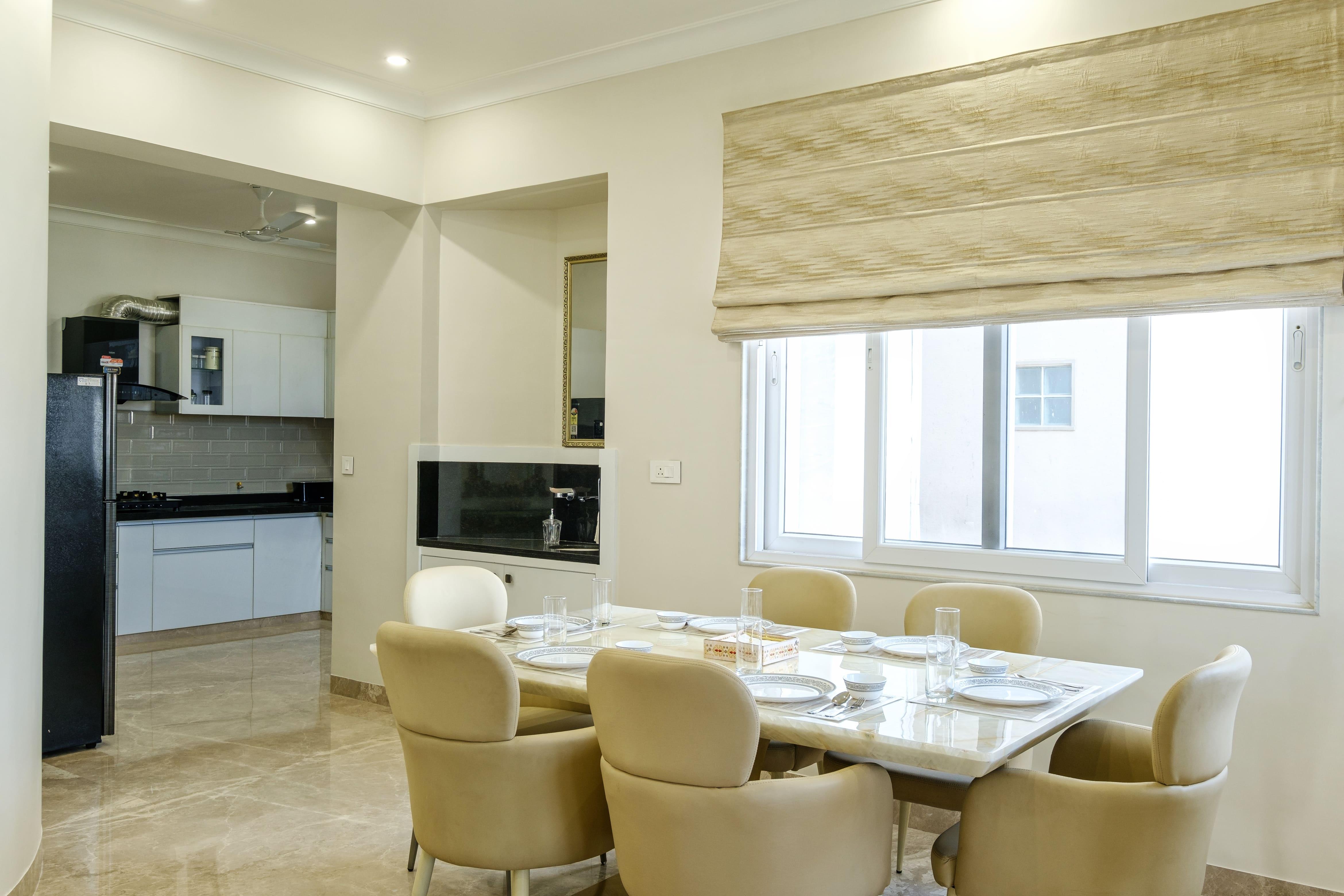 Palm 34 Jaipur x Solis Nature