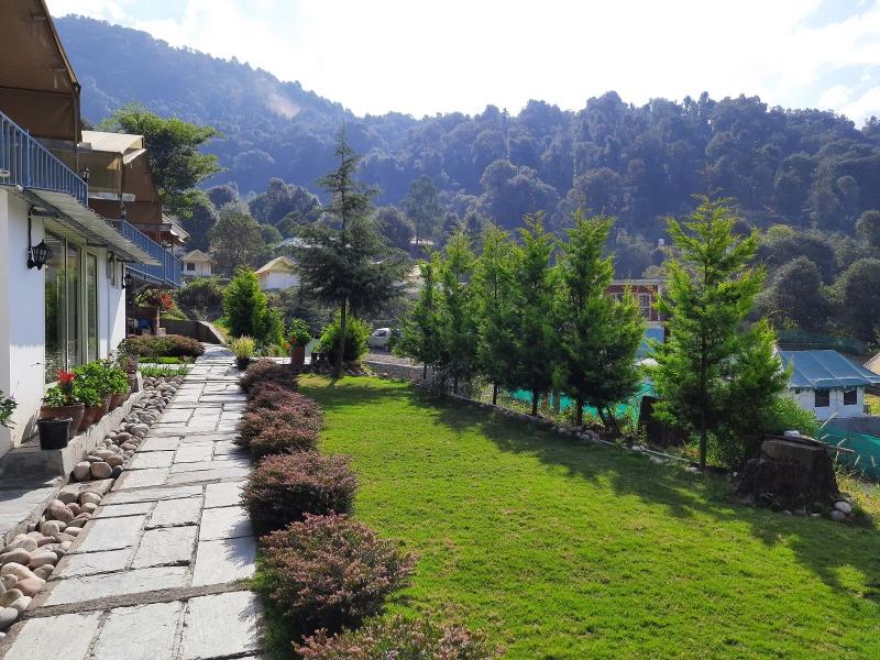 Camp Cedar x Solis Nature