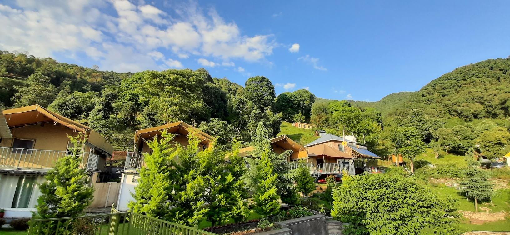 Camp Cedar x Solis Nature