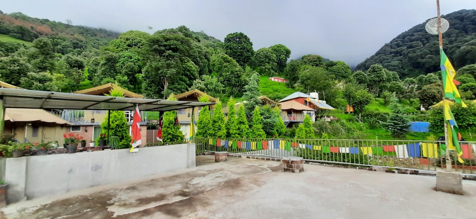 Camp Cedar x Solis Nature