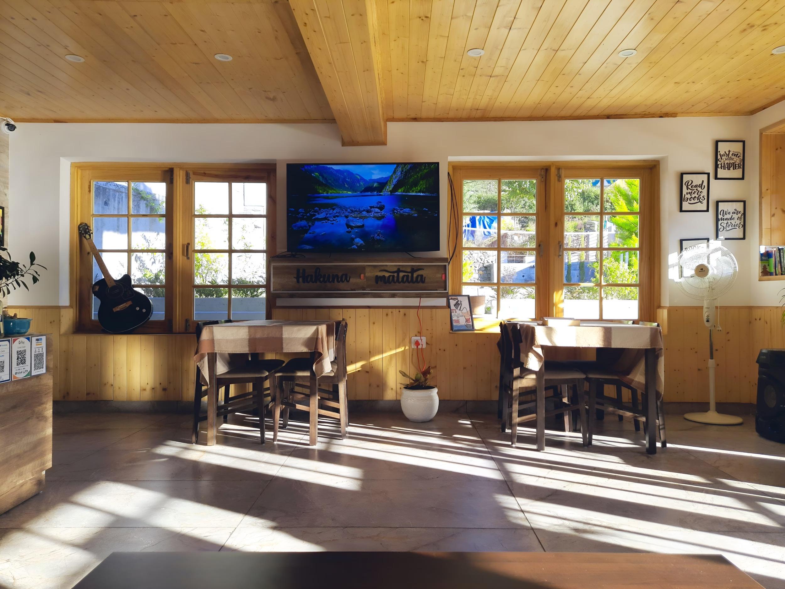 Camp Cedar x Solis Nature